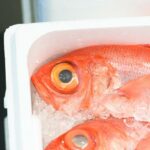 Giant squirrelfish are on sale in the fish market